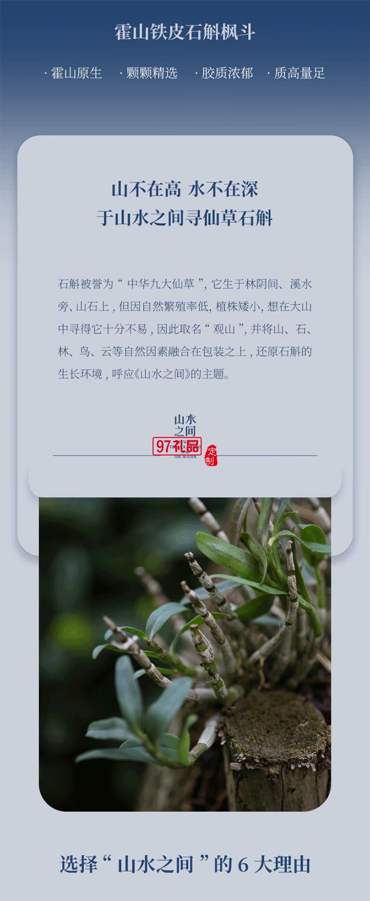 斛生記霍山鐵皮石斛楓斗山水之間觀(guān)山石斛禮盒